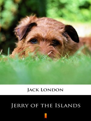 cover image of Jerry of the Islands